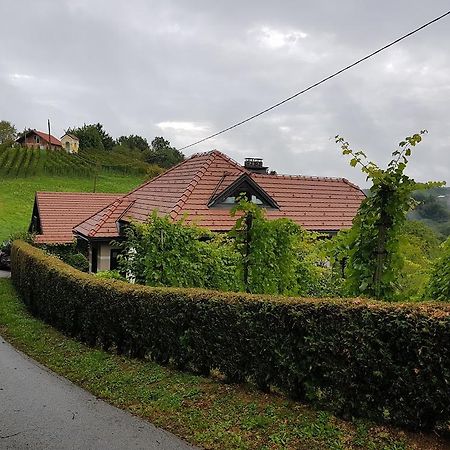 Wine & Nature & Tour Zgornji Leskovec Екстер'єр фото