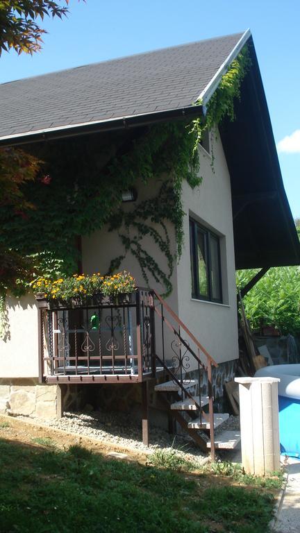 Wine & Nature & Tour Zgornji Leskovec Екстер'єр фото