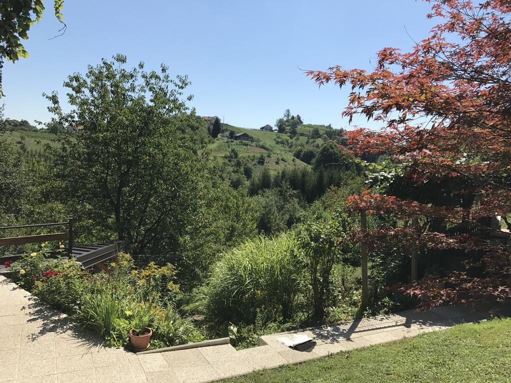 Wine & Nature & Tour Zgornji Leskovec Екстер'єр фото