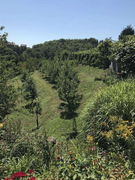 Wine & Nature & Tour Zgornji Leskovec Екстер'єр фото