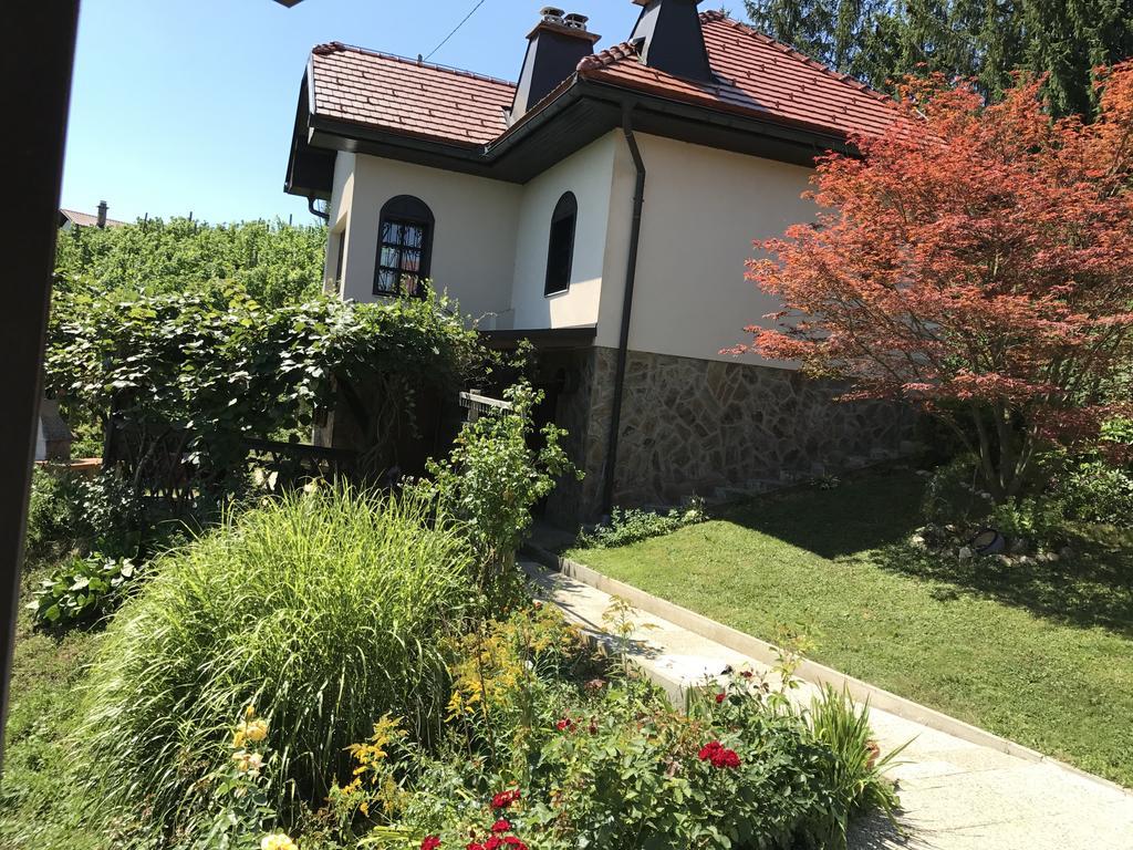 Wine & Nature & Tour Zgornji Leskovec Екстер'єр фото