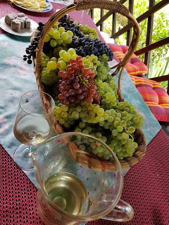 Wine & Nature & Tour Zgornji Leskovec Екстер'єр фото