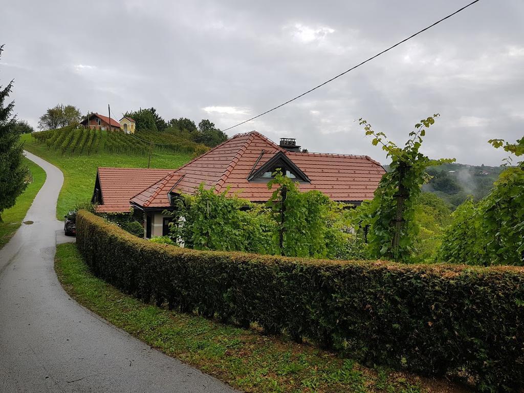 Wine & Nature & Tour Zgornji Leskovec Екстер'єр фото